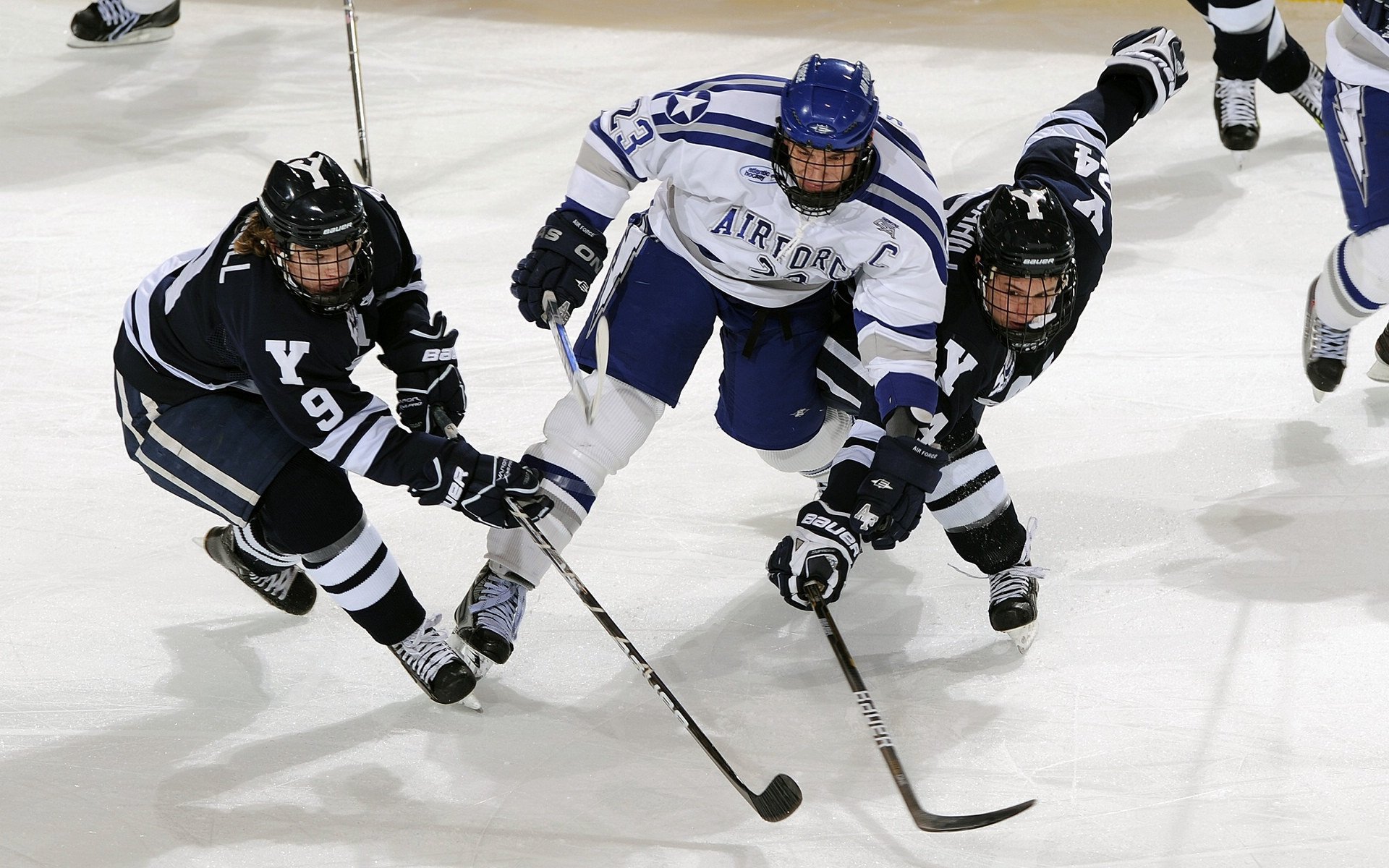 数字化青训“全场景+全维度”管理平台在行业中逐步普及，行业迈入智能新时代